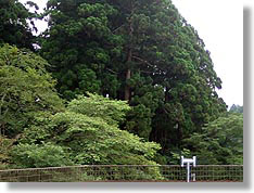 [箱根町役場箱根出張所の屋上]