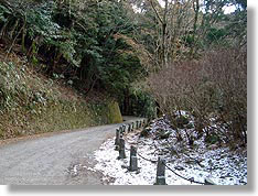 [天城山隧道・河津側入口附近]