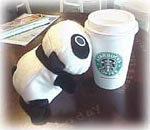 Starbucks Coffee