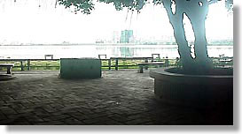 [龍山河濱公園]